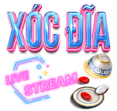 X&oacute;c đĩa ku88